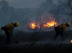 Kebakaran Sentra Anggur California Tewaskan 21 Orang, 550 Orang Hilang