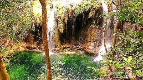 Potret Moyo dan Tambora yang Jadi Cagar Biosfer UNESCO