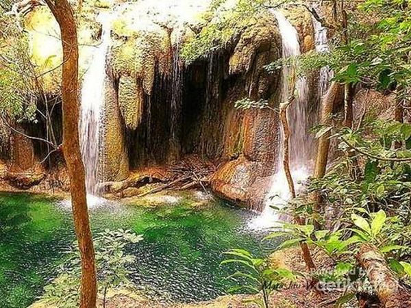 Potret Moyo dan Tambora yang Jadi Cagar Biosfer UNESCO