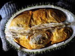 Terungkap! Misteri di Balik Bau dan Rasa Durian yang Sangat Tajam