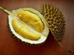 Jarang Diperhatikan, Ternyata Buah Durian Banyak Manfaatnya Bagi Kesehatan