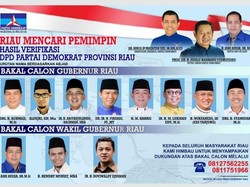 Demokrat Riau Kirim 8 Nama Bakal Calon Gubernur ke Jakarta