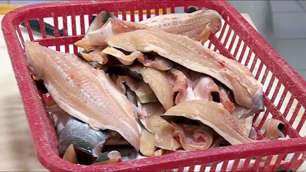 Awas! Patin Vietnam Berbahaya Beredar di Pasaran Awas! Patin Vietnam Berbahaya Beredar di Pasaran