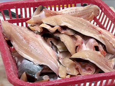 Awas! Patin Vietnam Berbahaya Beredar di Pasaran
