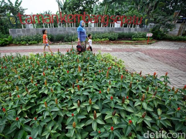 Taman Kembang Sepatu Kurang Fasilitas