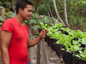 Potret Klinik ASRI: Menjaga Hutan Kalimantan dengan Stetoskop
