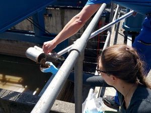 Aneh tapi Nyata, Ada Emas Senilai Rp 26 M di Air Limbah