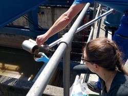 Aneh tapi Nyata, Ada Emas Senilai Rp 26 M di Air Limbah