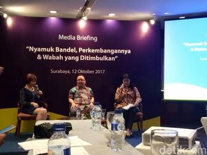 Januari-September, Jumlah Penderita DBD di Surabaya 302 Kasus