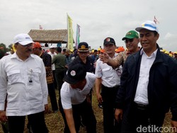 Ke Sumsel, Mentan Panen Padi di Lahan Tidur 400 Ha