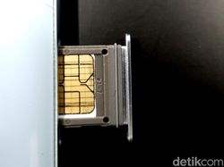 Para Pejabat Jadi Incaran Pembajakan Ponsel Lewat SIM Card
