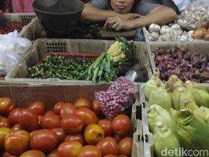 Stok Melimpah, Harga Bawang Turun Jadi Rp 20.000/Kg Stok Melimpah, Harga Bawang Turun Jadi Rp 20.000/Kg