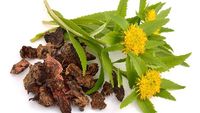 10 Super Herba Ini Punya Segudang Manfaat untuk Kesehatan Tubuh