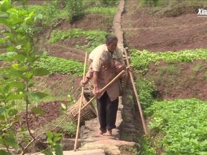 Kisah Haru Suami yang Buta dan Istri Lumpuh Ini Ajarkan Makna Cinta Sejati