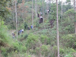 Tinjau Gunung Rakutak Bandung, KLHK: Kodisi Hutan Rusak