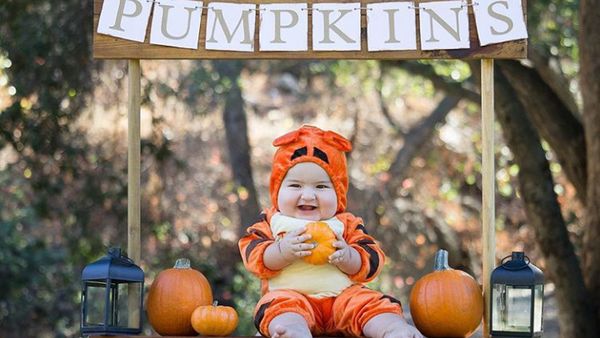 Menggemaskan! Saat si Little Pumpkin Menyambut Halloween