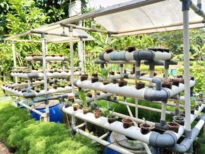 Berkebun dan Beternak Tak Pernah Seasyik Ini