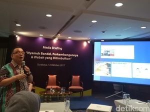 Nyamuk Berkembang Saat Cuaca Panas, Ini Yang Harus Diperhatikan