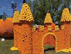 70 Patung Jeruk Raksasa Meriahkan Festival Musim Semi di Griffith NSW