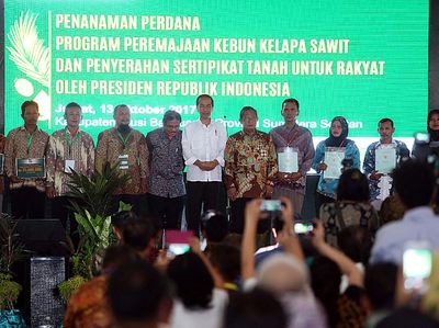 Jokowi Hadiri Program Peremajaan Kebun Kelapa Sawit