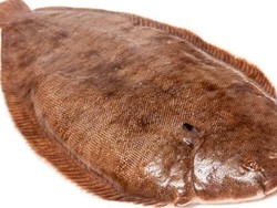 Pemancing Nyaris Tewas Setelah Ikan yang Diciumnya Loncat ke Mulut