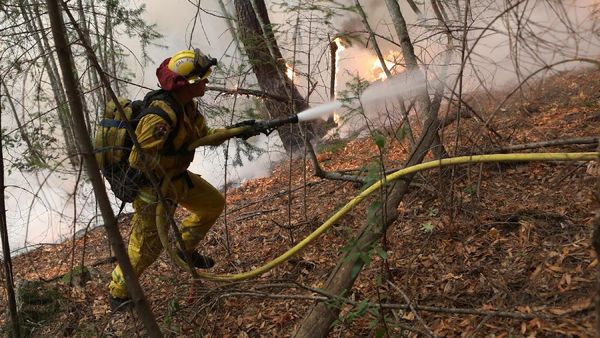 Epik! Aksi Heroik Petugas Damkar Jinakkan Api di California