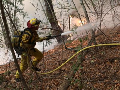Epik! Aksi Heroik Petugas Damkar Jinakkan Api di California
