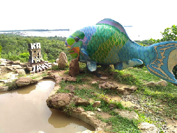 Gali Potensi Pariwisata Karimunjawa, Alumni UGM Bentuk Satgas