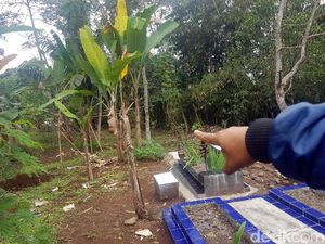 Arena Duel Gladiator Siswa SMP Sukabumi Berada di Tengah Kuburan