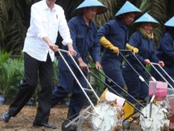 BNI Jadi Bank Pertama Biayai Peremajaan Kebun Sawit