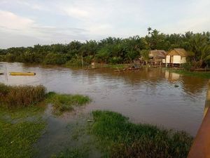 Mandi di Sungai, Bocah 8 Tahun Diserang Buaya di Banyuasin