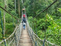 Taman Nasional Kutai, Lokasi Harta Tak Ternilai Kalimantan