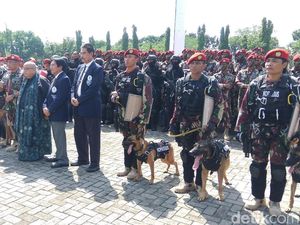 Kiat Kopassus Agar Tak Digigit Herder yang Diajak Terjun Payung