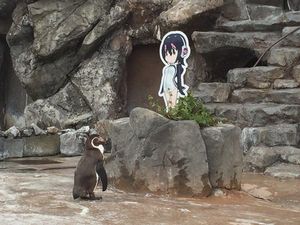 Penguin yang Jatuh Cinta dengan Tokoh Anime Itu Kini Telah Tiada