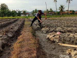 Cerita Bripka Munif Sulap Lahan Tidur dan Apresiasi dari Kapolri