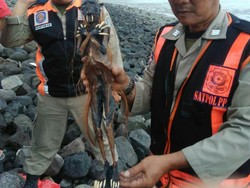 Begini Seramnya Jenglot yang Dibuang di Pantai Watu-watu Surabaya