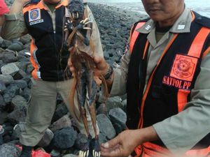 Satpol yang Amankan Jenglot dari Pantai Surabaya Diteror Satpol yang Amankan Jenglot dari Pantai Surabaya Diteror