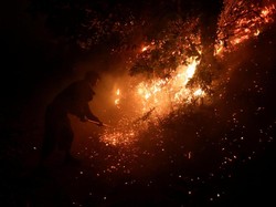 Kebakaran Hutan di Spanyol Meluas Akibat Gelombang Panas