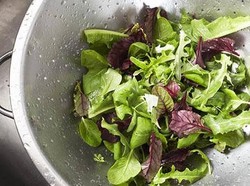 Percaya Atau Tidak, Makan Sayuran Bisa Membuat Otak Awet Muda Lho