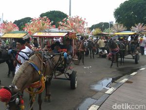 Kasatpol PP DKI Kaji Mekanisme Izin Operasi Delman di Monas