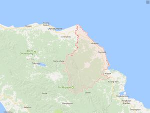 2 Gajah Ditemukan Mati di Aceh Timur, Diduga Kesetrum