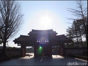 Rasakan Sensasi Liburan Luar Biasa di Korea Saat Musim Dingin