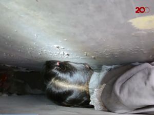 Bocah Terjepit di Antara Dinding Sekolah