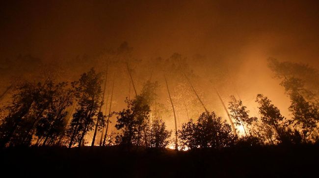 Berita Kebakaran Hutan Landa Portugal dan Spanyol, 9 Orang Tewas Jumat 19 April 2024