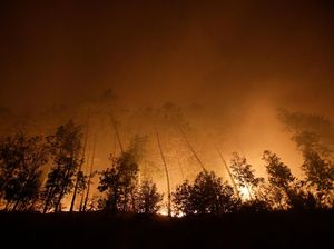 Kebakaran Hutan di Spanyol, Ribuan Warga Dievakuasi