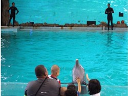 Mau Liburan Seru dan Hemat? Pakai Promo Buy 1 Get 1 di Sini