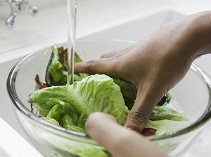 5 Tips Mudah Hilangkan Pestisida agar Sayuran Aman Dimakan 5 Tips Mudah Hilangkan Pestisida agar Sayuran Aman Dimakan