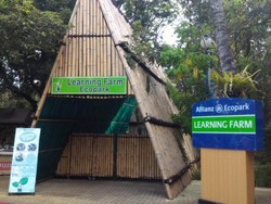 Aneka Aktivitas Menarik di Learning Farm Ancol