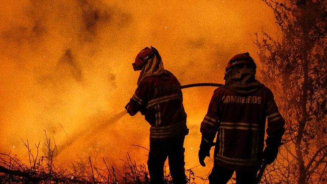 Berita Kebakaran Hutan Tewaskan 41 Orang, Mendagri Portugal Mundur Rabu 17 April 2024