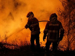 Kebakaran Hutan Tewaskan 41 Orang, Mendagri Portugal Mundur